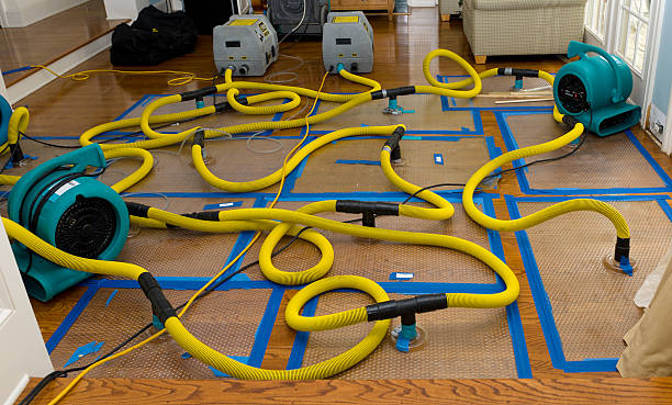 Professional Water Extraction technician working in Tilden, IL